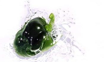 Paleo Diet Green Pepper